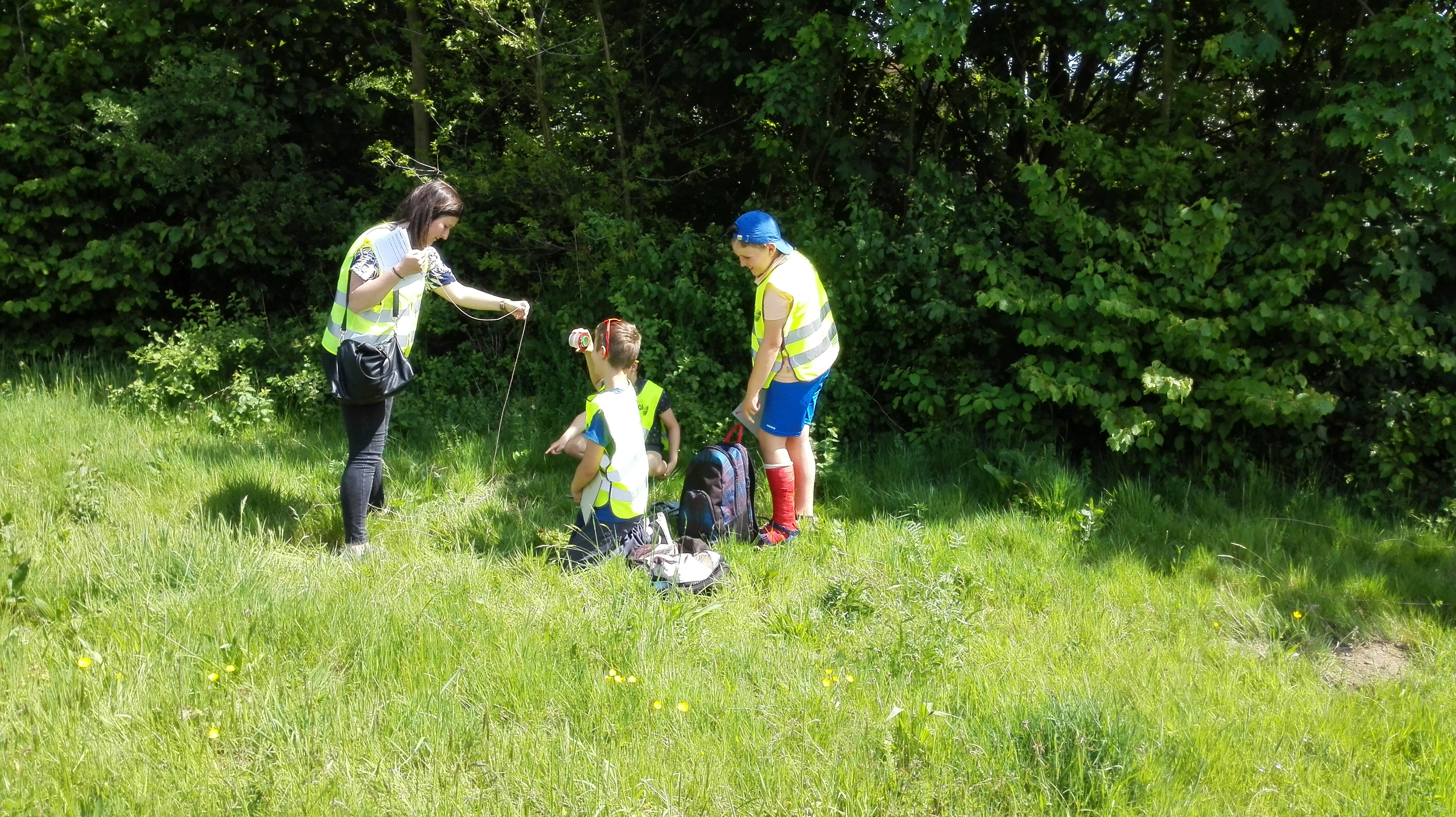 Het vierde leerjaar op onderzoek in de berm!